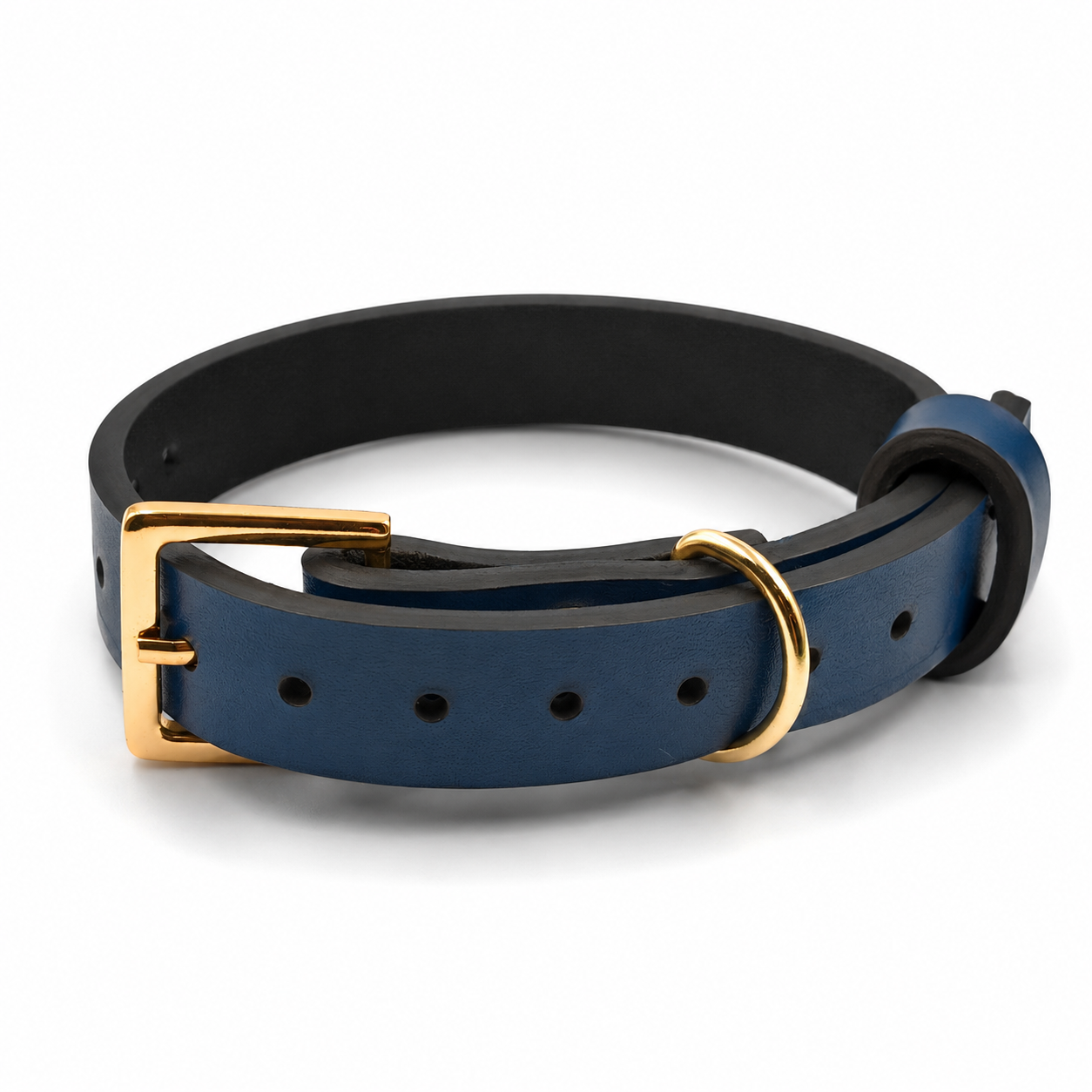 Coleira Personalizada Cão Porte "PP" - Imagem 4